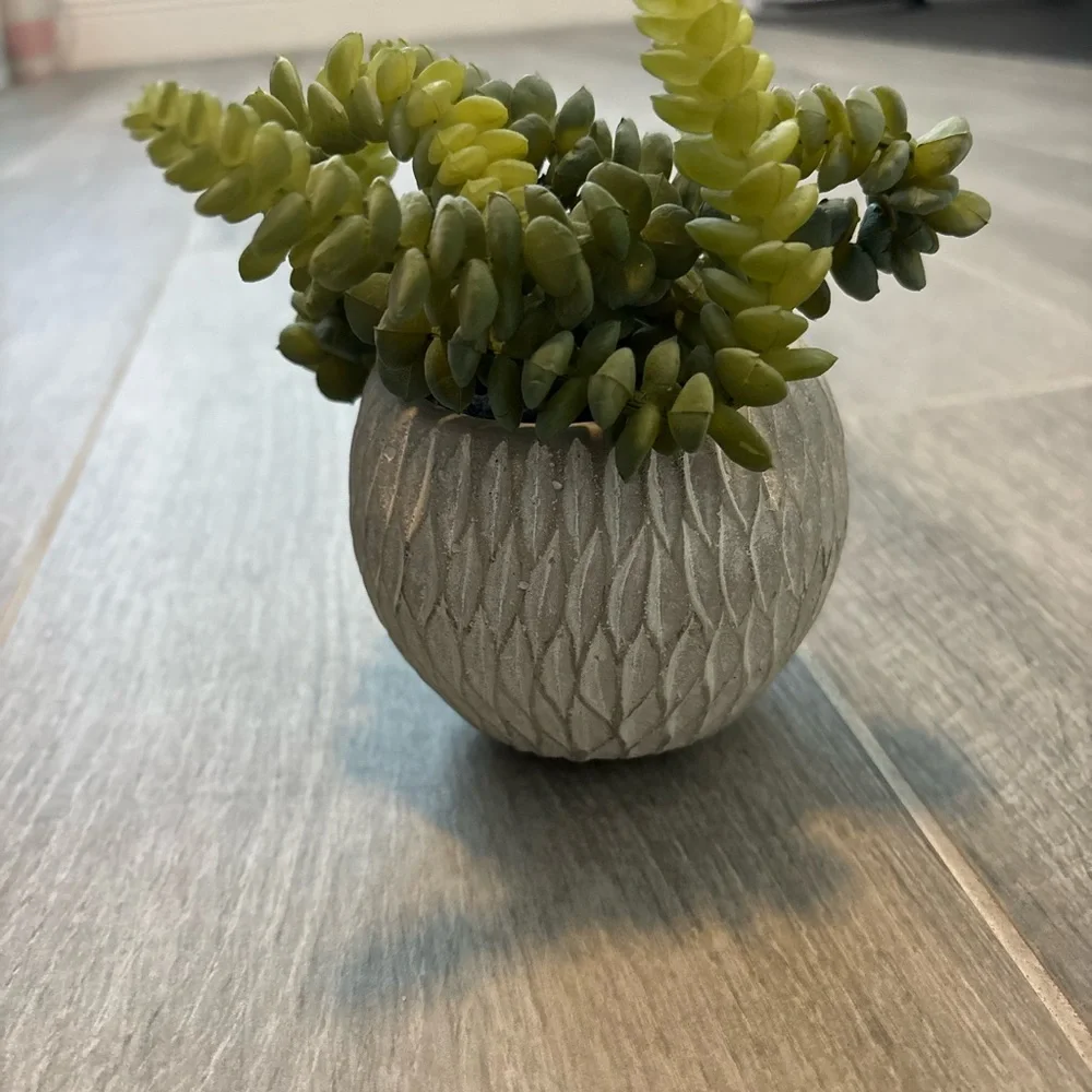 Decorative Gray Planter with Green Succulents